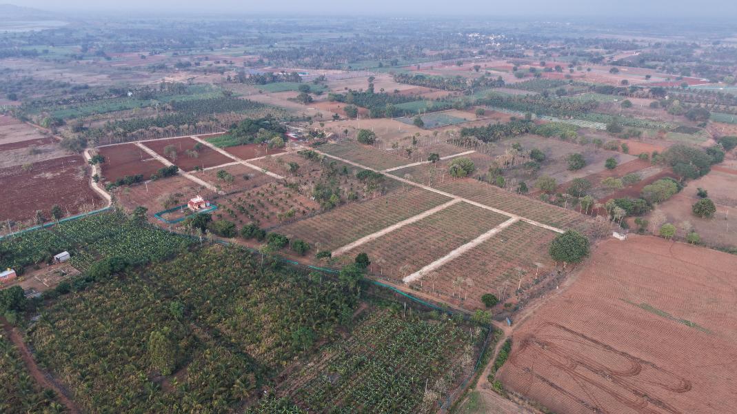 Krushi Bhoomi Farms - aerial photo 30