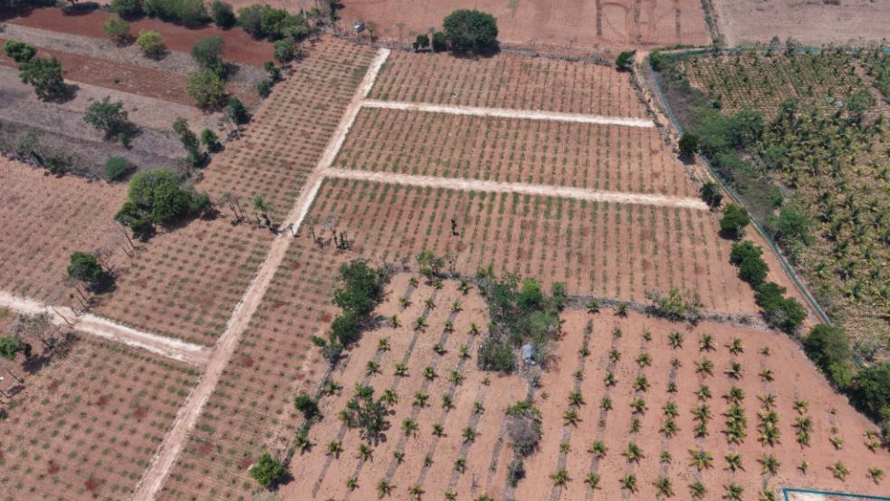 Krushi Bhoomi Farms - aerial photo 40